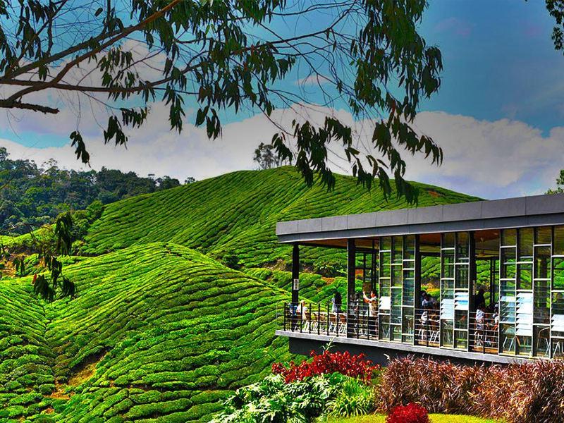 Naufa Muslim'S Homestay At Emerald Avenue Brinchang Exterior foto